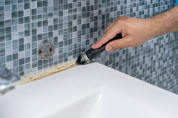 Best Emergency Mold Remediation in Lincoln Center, KS