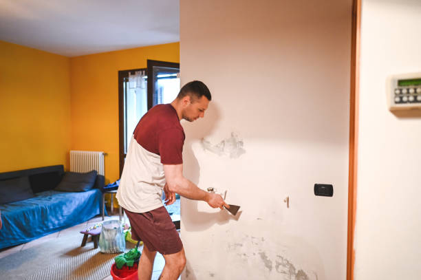 Best Black Mold Remediation in Lincoln Center, KS
