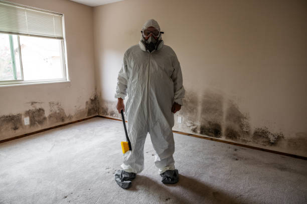 Best Mold Remediation for Schools in Lincoln Center, KS